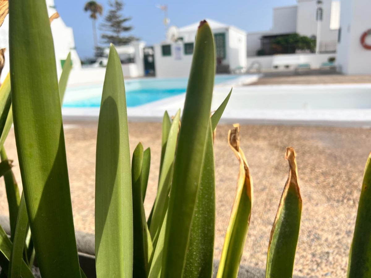 Las Mimosas Beach Sol Puerto del Carmen  Exteriör bild